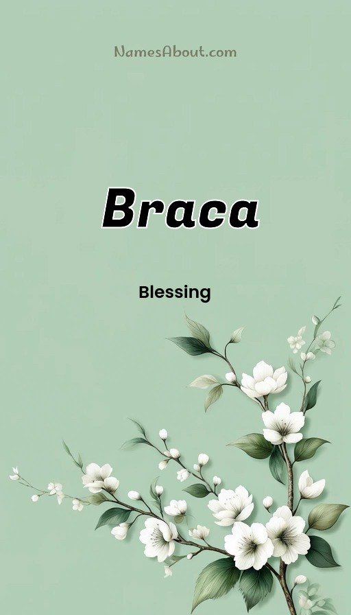 Meaning of Braca