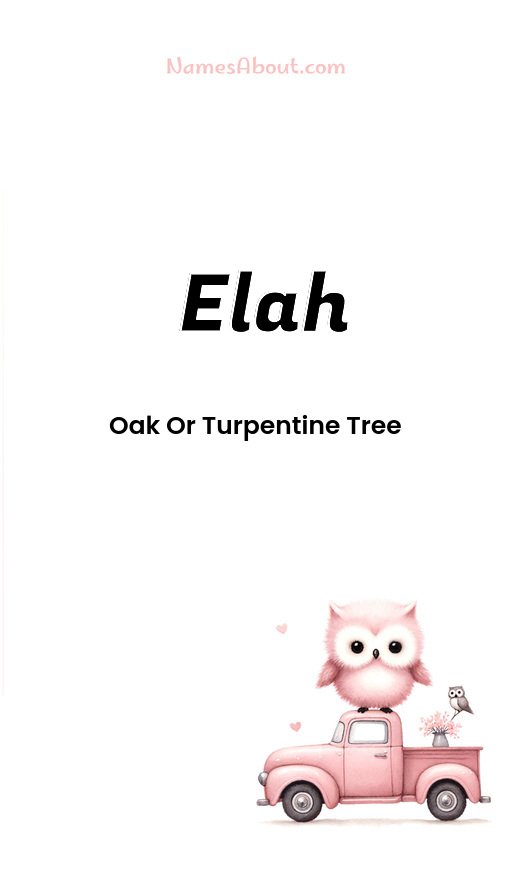Meaning of Elah