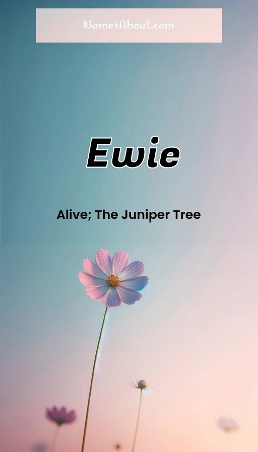 Meaning of Ewie