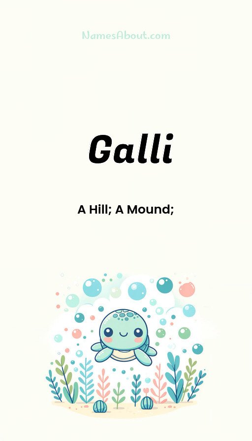 Meaning of Galli