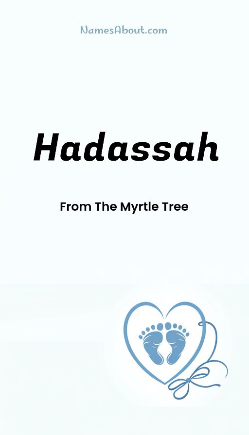 Meaning of Hadassah