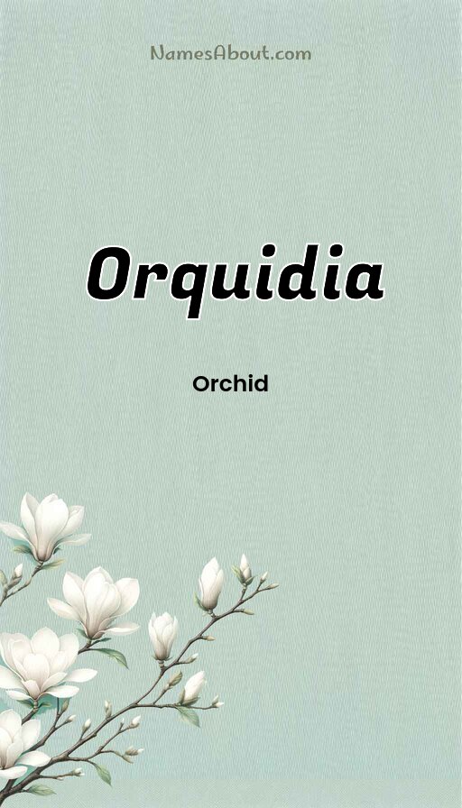Meaning of Orquidia