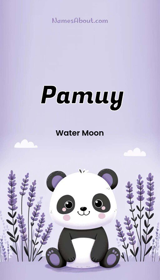 Meaning of Pamuy