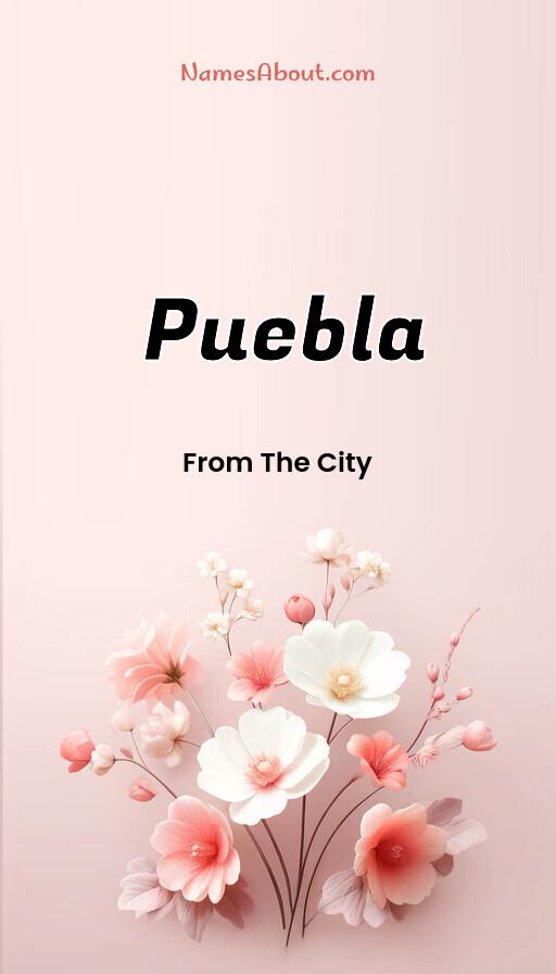 Meaning of Puebla