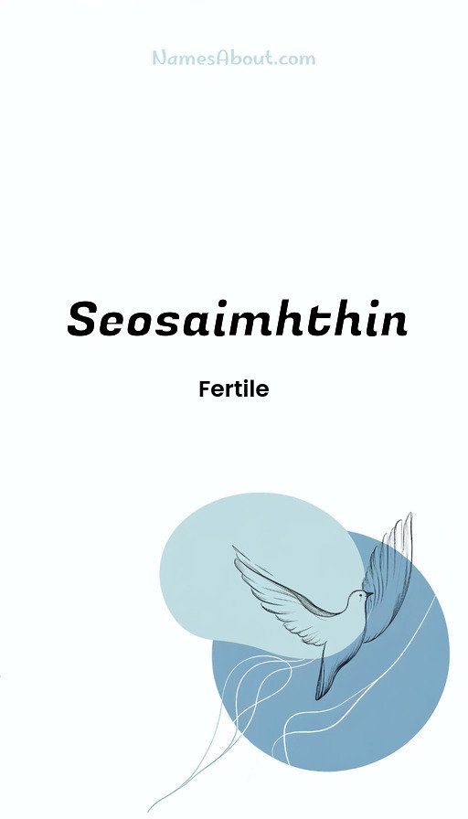 Meaning of Seosaimhthin