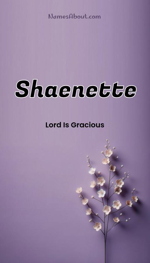 Shaenette name and meaning