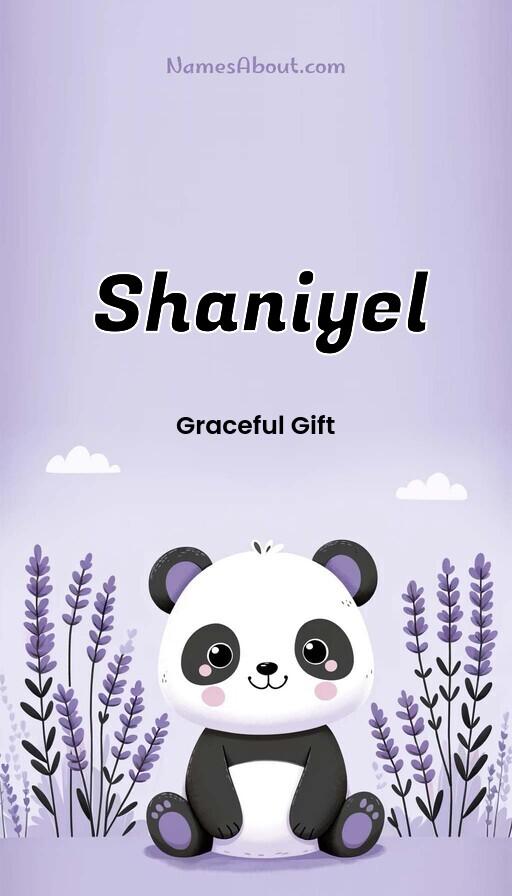 Shaniyel name and meaning