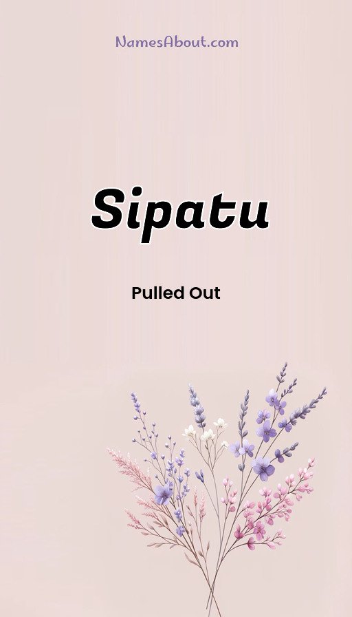 Meaning of Sipatu