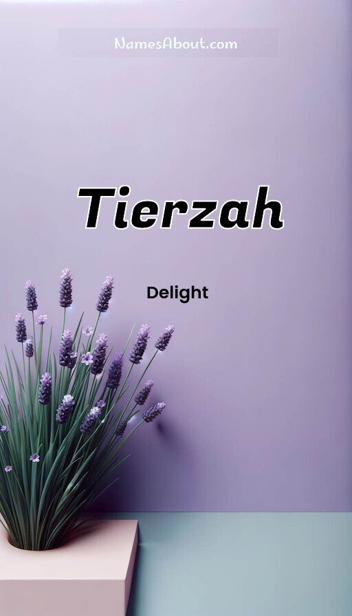 Meaning of Tierzah