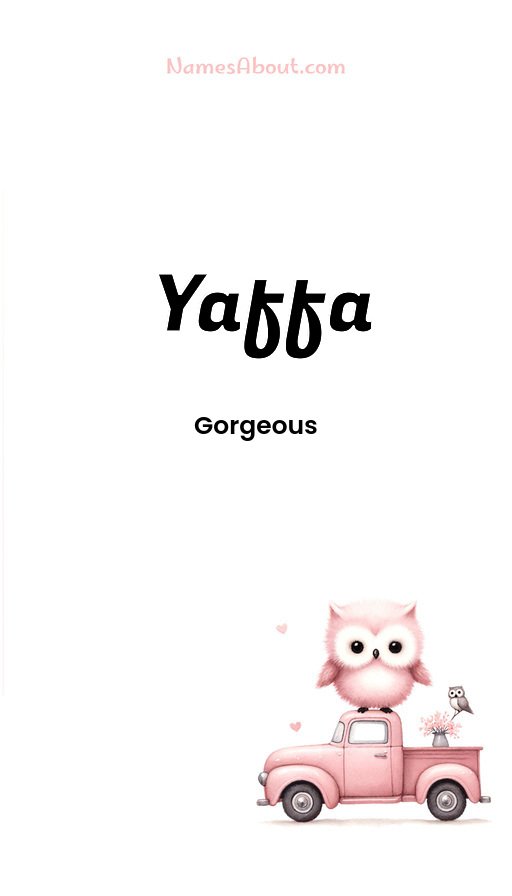 Meaning of Yaffa