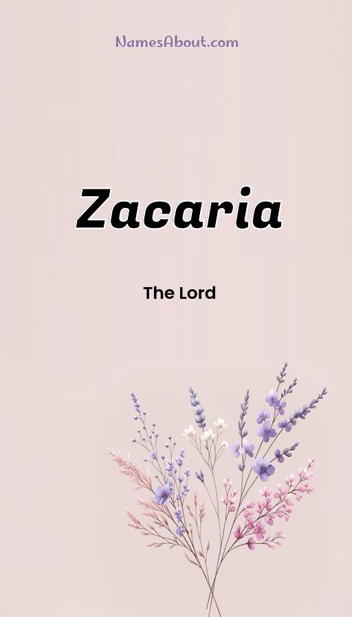 Illustration of Zacaria