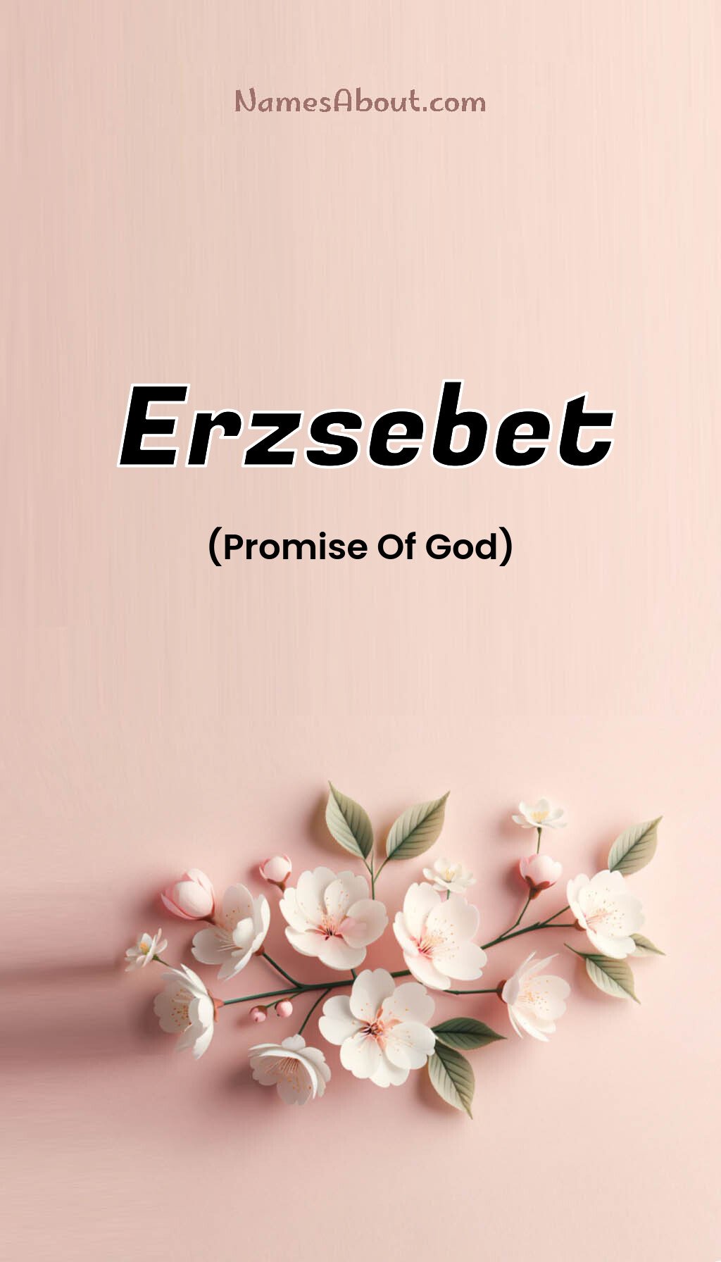 Erzsebet name and meaning