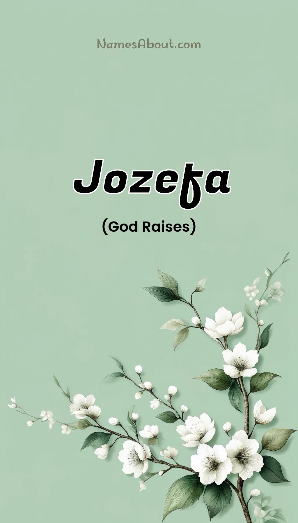 Jozefa name and meaning