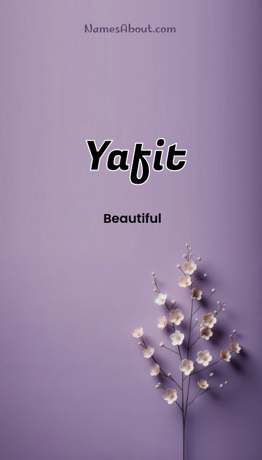 Meaning of Yafit