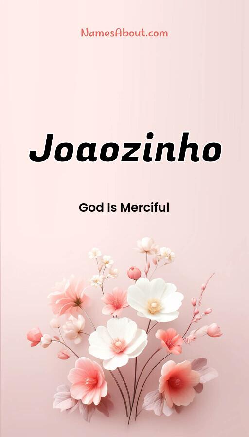 Meaning of Joaozinho