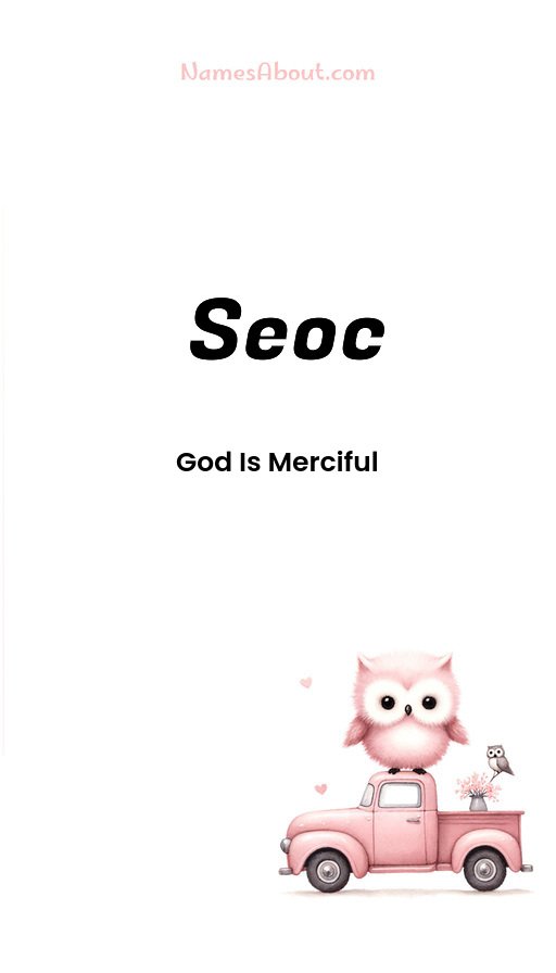 Meaning of Seoc