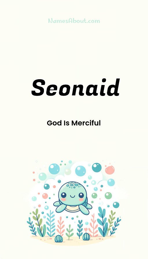 Meaning of Seonaid