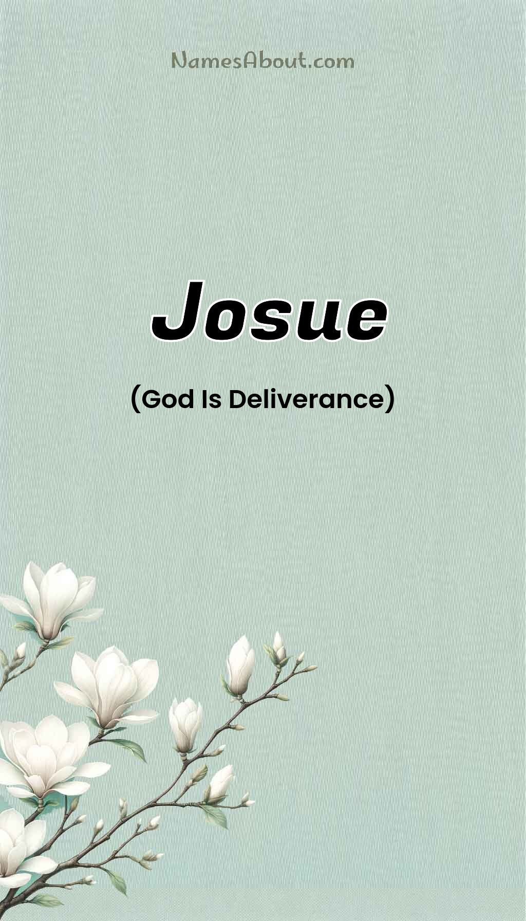 Josue name and meaning