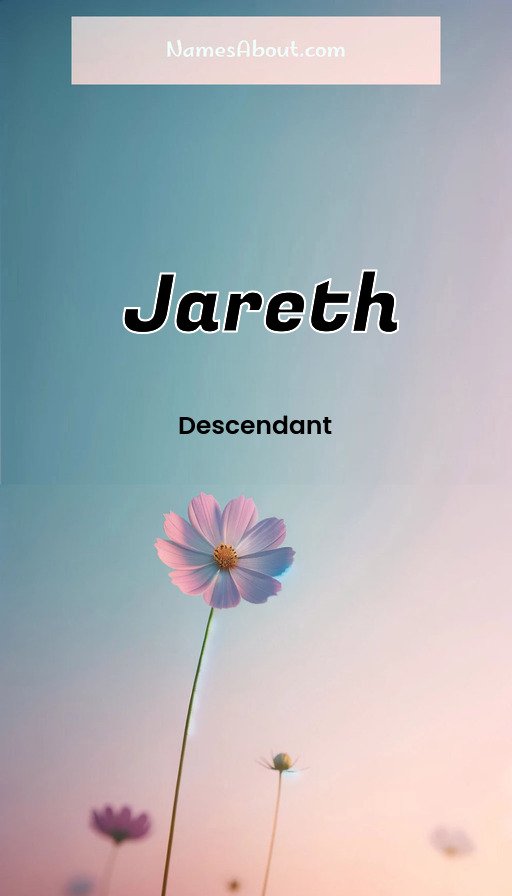 Meaning of Jareth