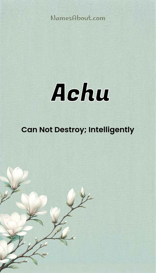 Meaning of Achu