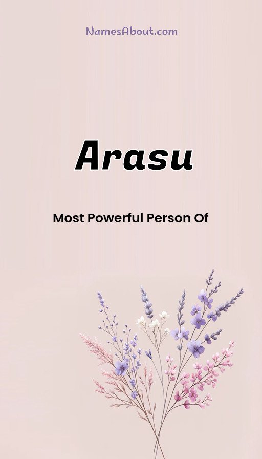 Meaning of Arasu