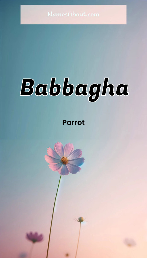 Meaning of Babbagha
