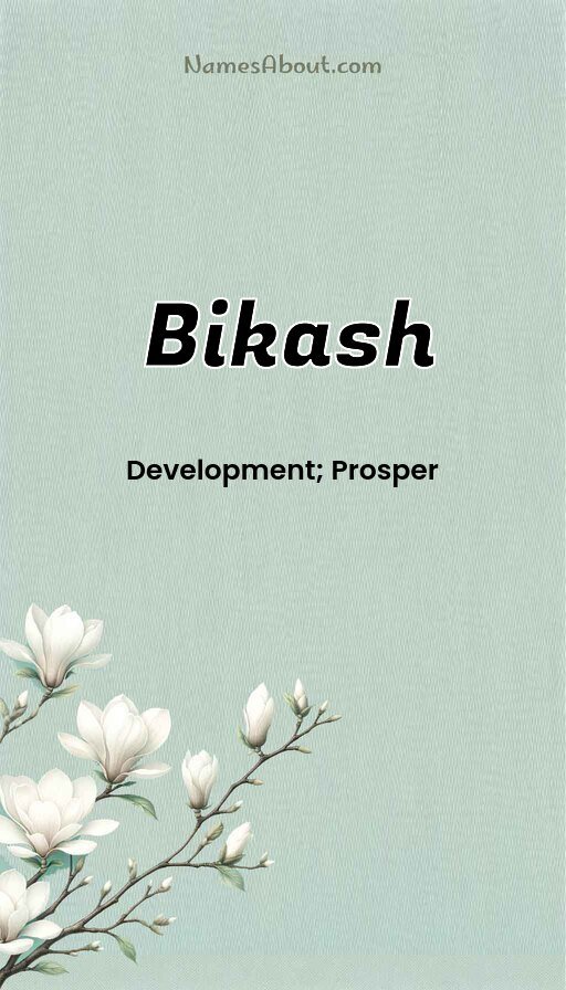Meaning of Bikash