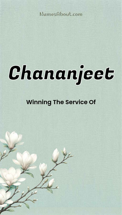 Meaning of Chananjeet