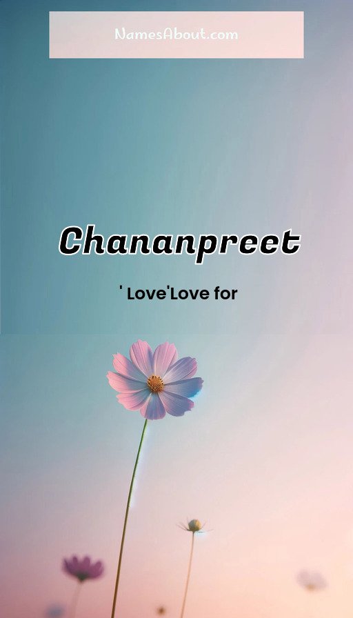 Meaning of Chananpreet