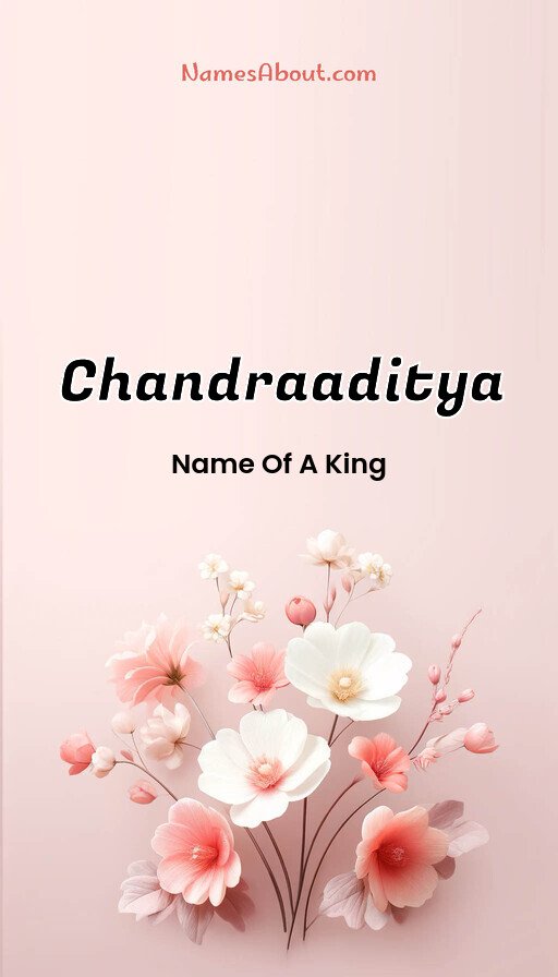 Meaning of Chandraaditya
