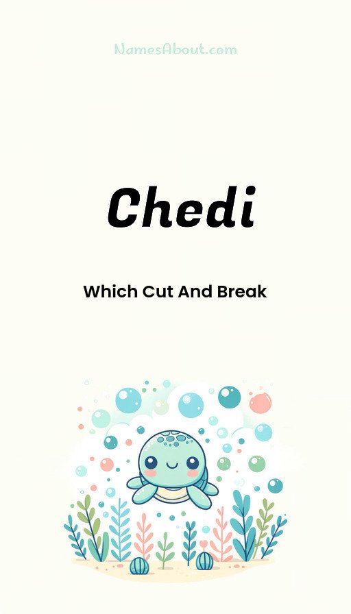 Meaning of Chedi