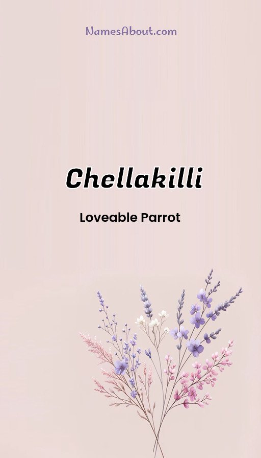 Meaning of Chellakilli