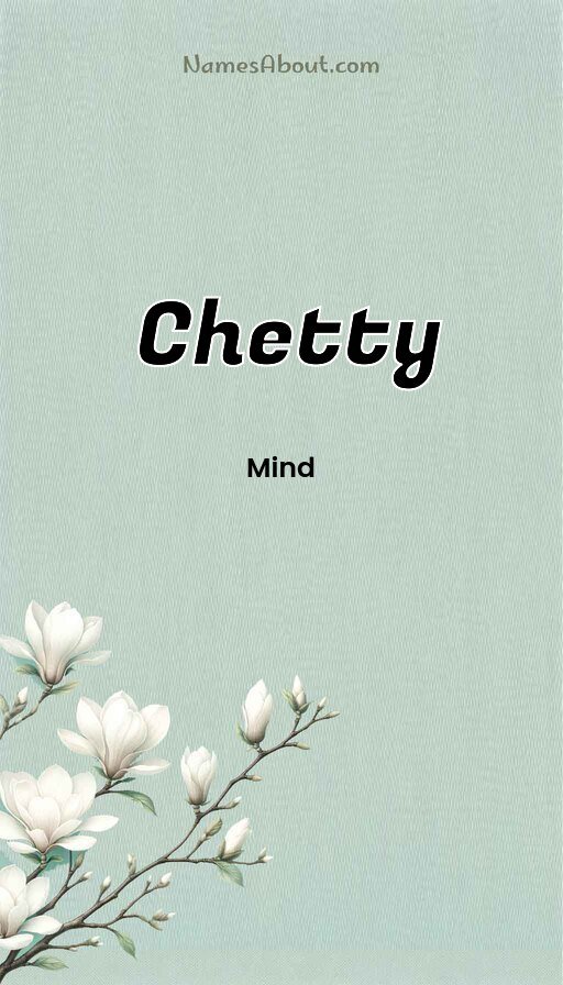 Meaning of Chetty