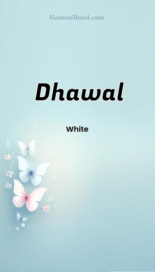 Illustration of Dhawal