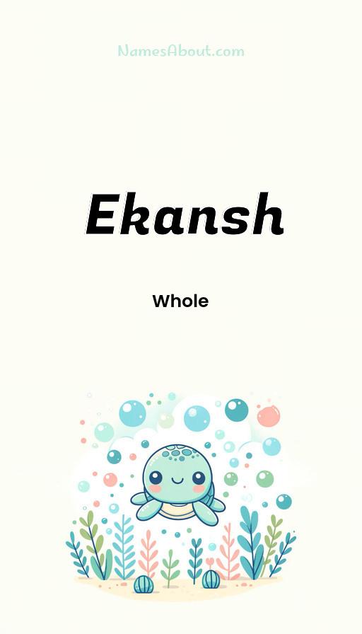 Illustration of Ekansh