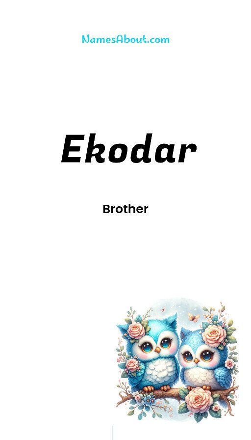Meaning of Ekodar