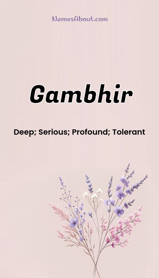 Illustration of Gambhir