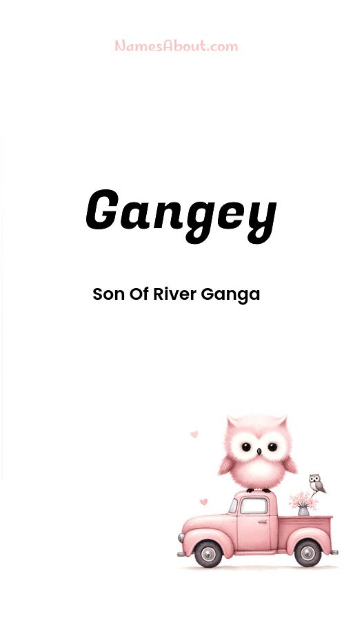 Meaning of Gangey