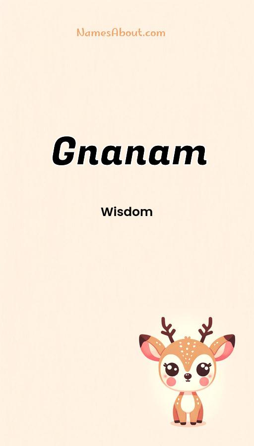 Illustration of Gnanam