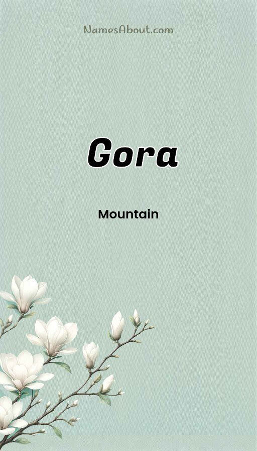 Meaning of Gora