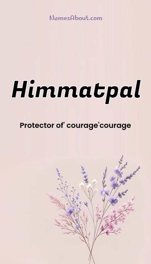 Meaning of Himmatpal