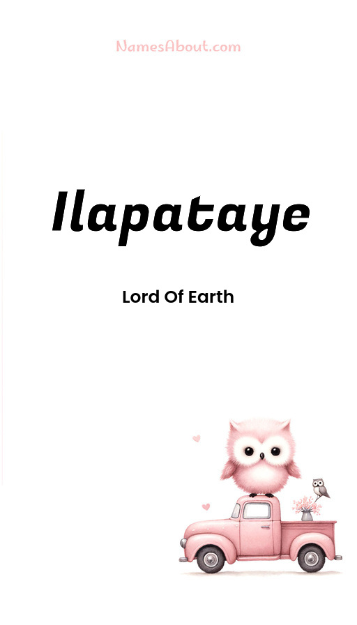 Meaning of Ilapataye