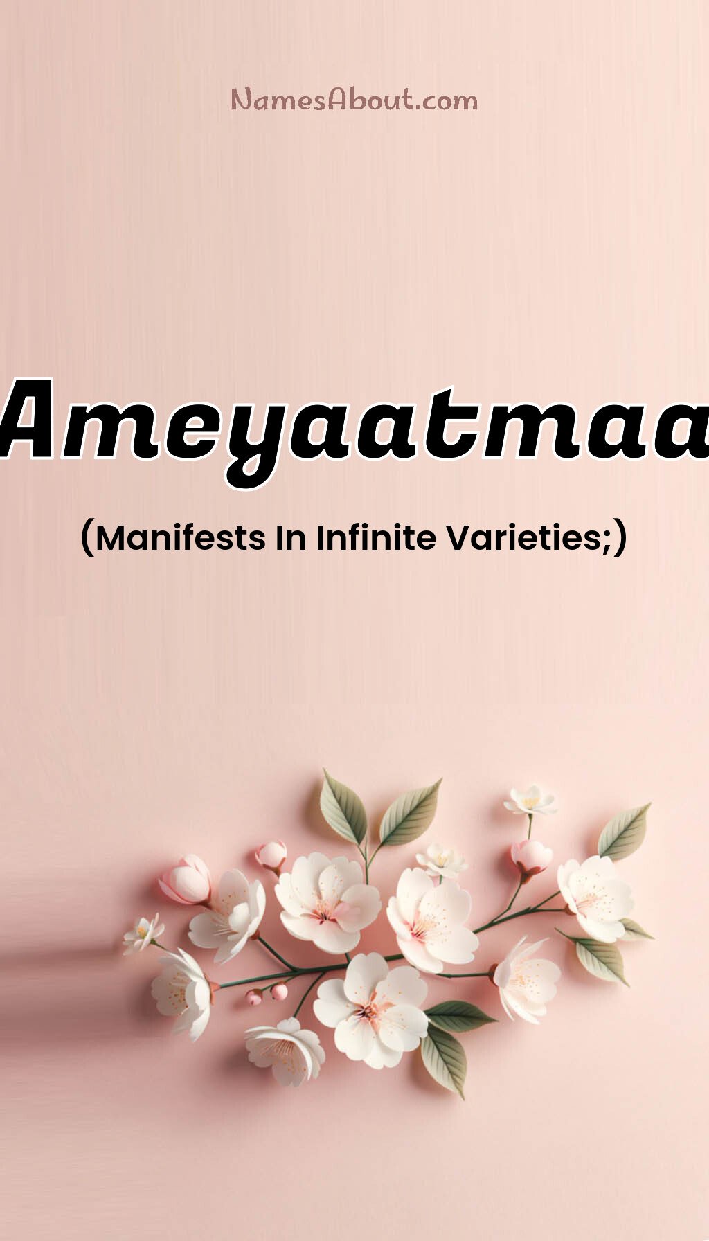 Ameyaatmaa name and meaning