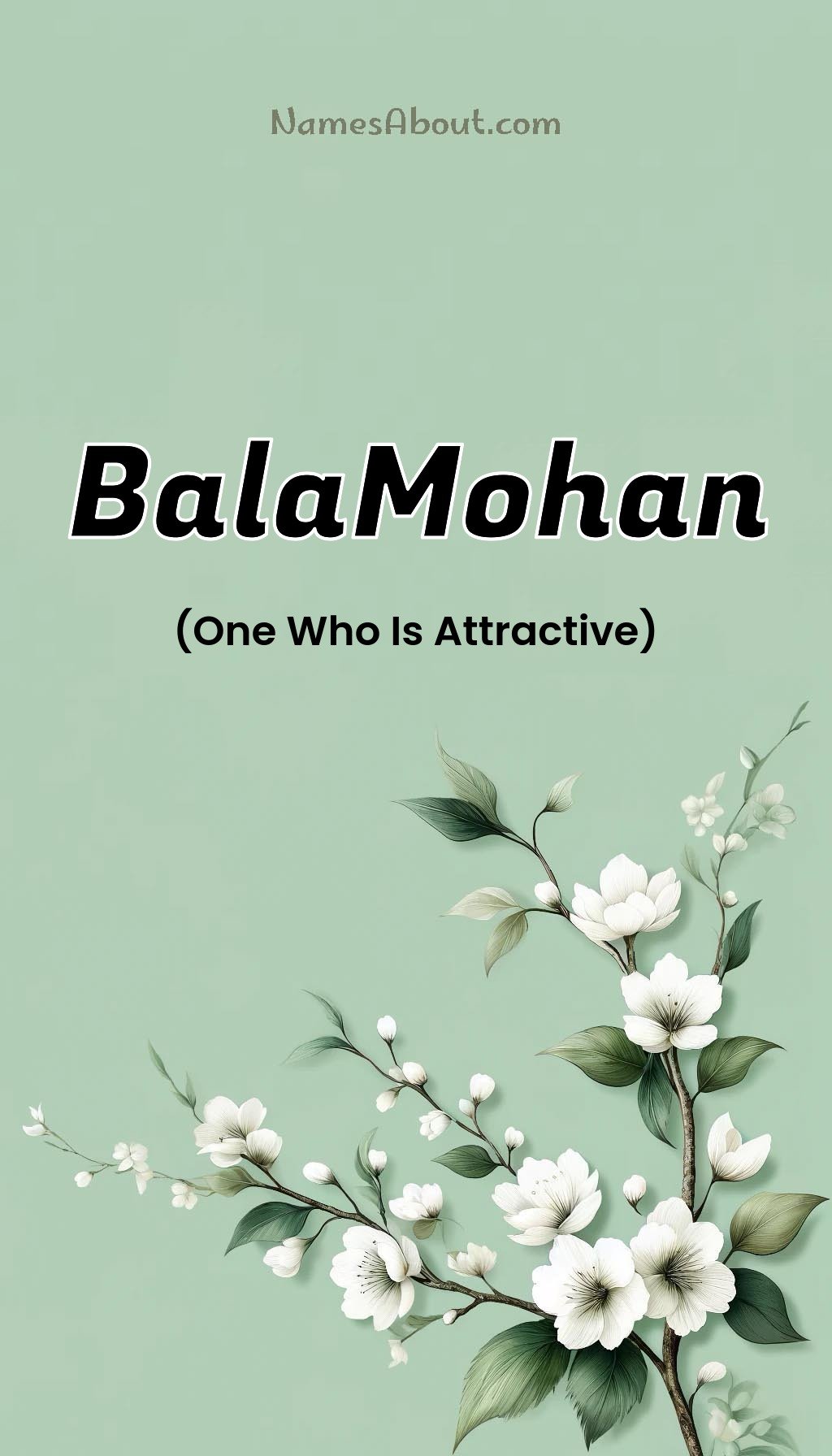 BalaMohan name and meaning