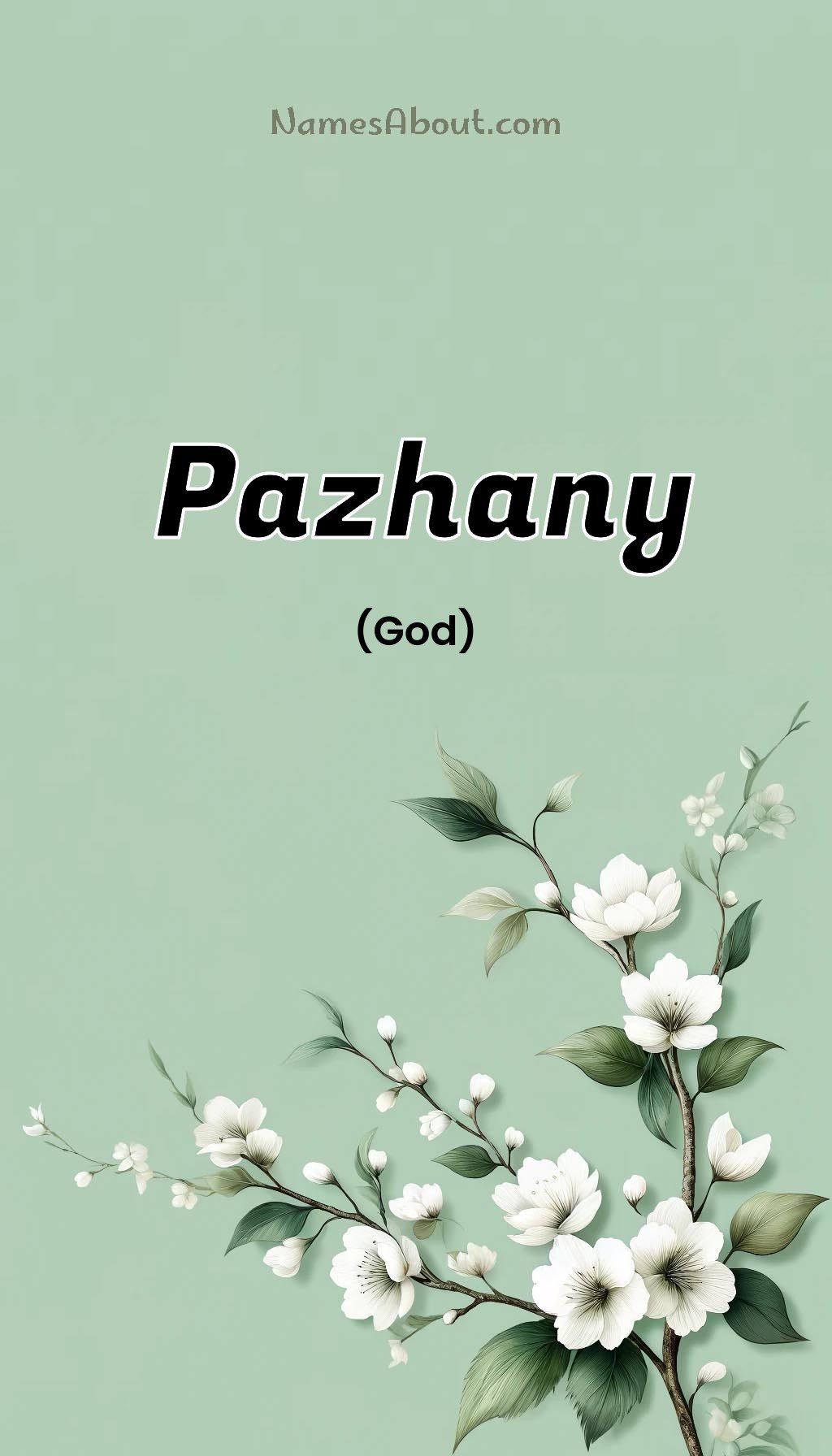 Pazhany name and meaning