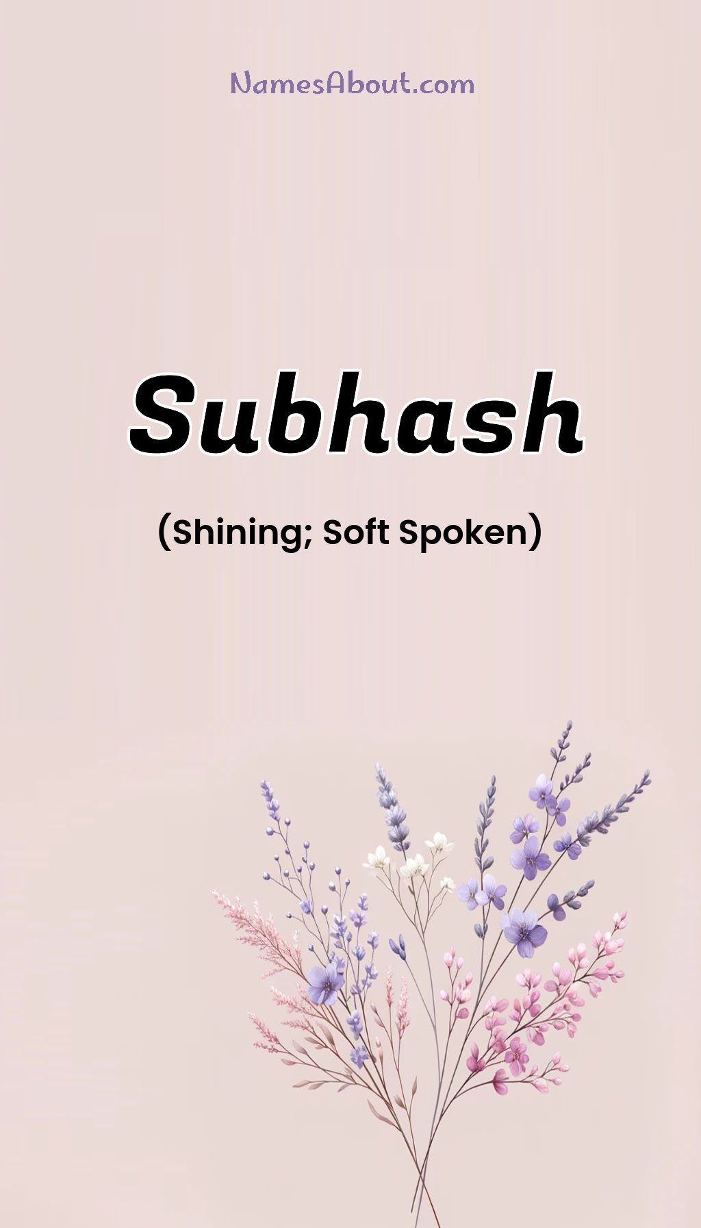 Subhash name and meaning