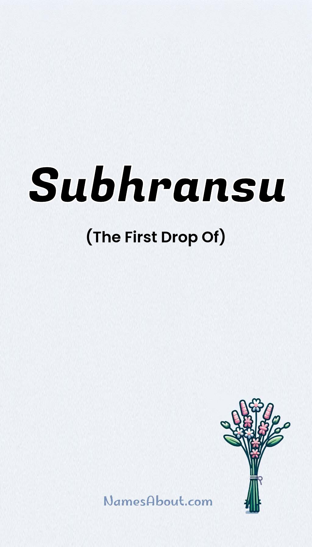 Subhransu name and meaning