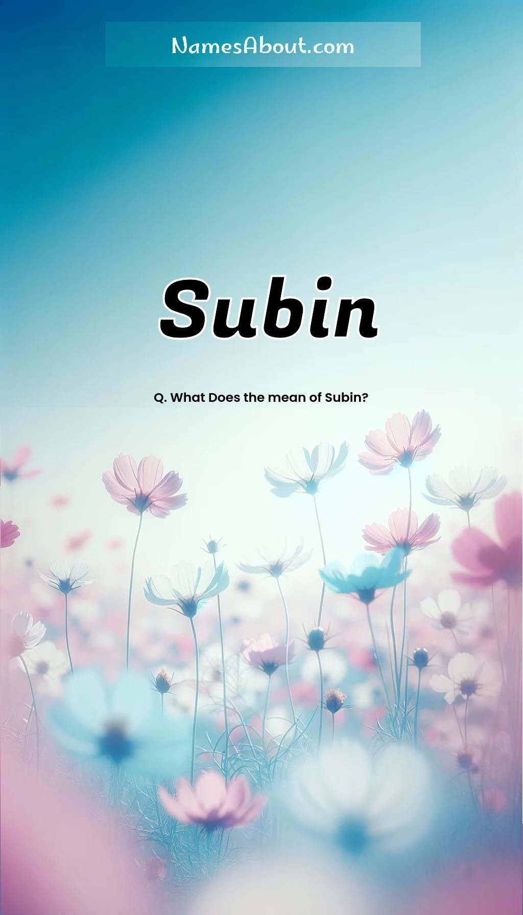 Subin name and meaning