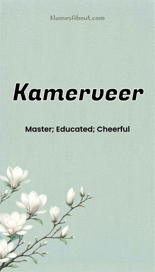 Meaning of Kamerveer