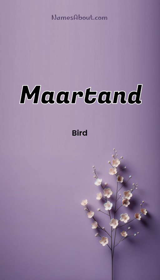 Meaning of Maartand